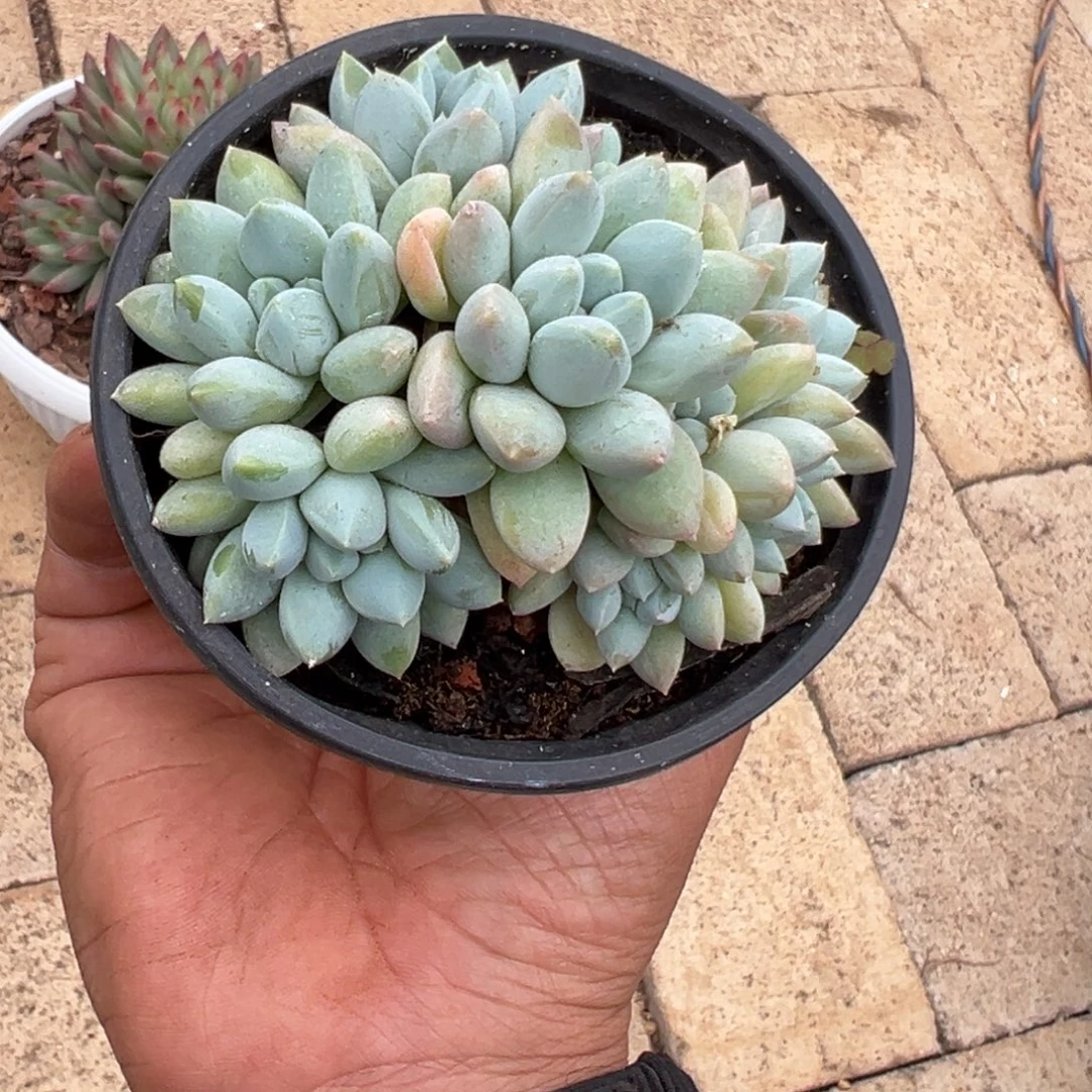 F***儿我也没事啊这就是所谓