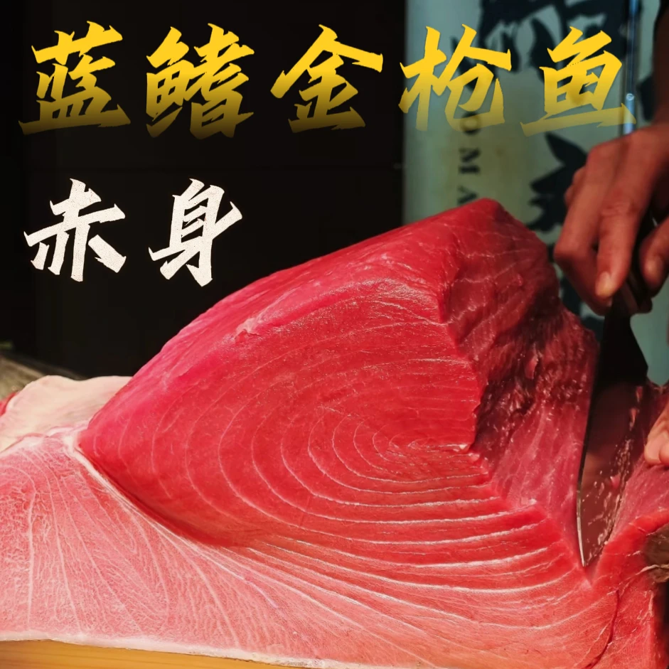 【赤身红肉】蓝鳍金枪鱼西班牙进口冰鲜大西洋金枪鱼刺身生鱼片顶肉