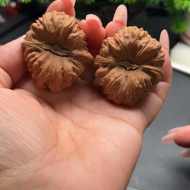 核桃平谷凹的全品41
