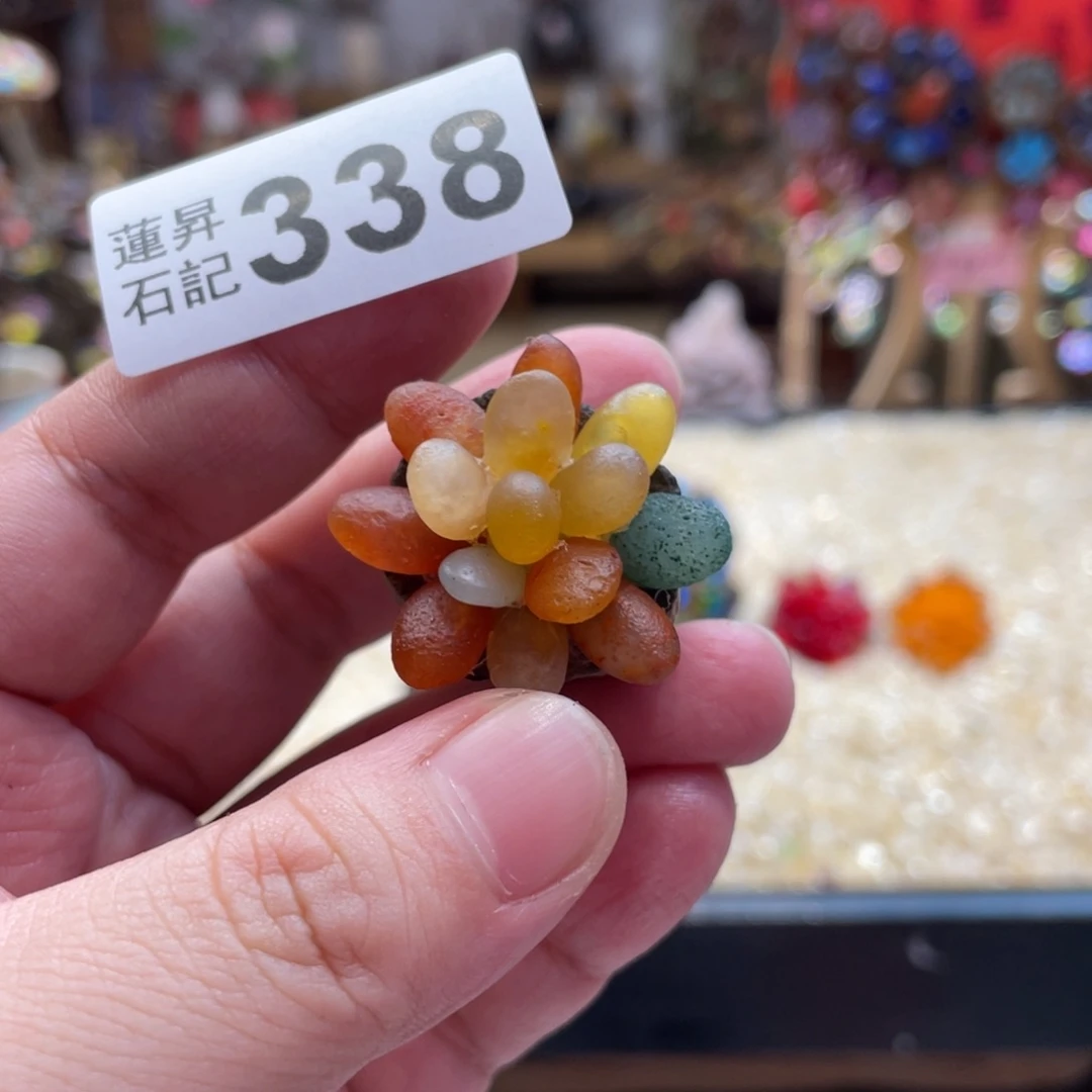 核桃木/黑胡桃（胡桃木）338