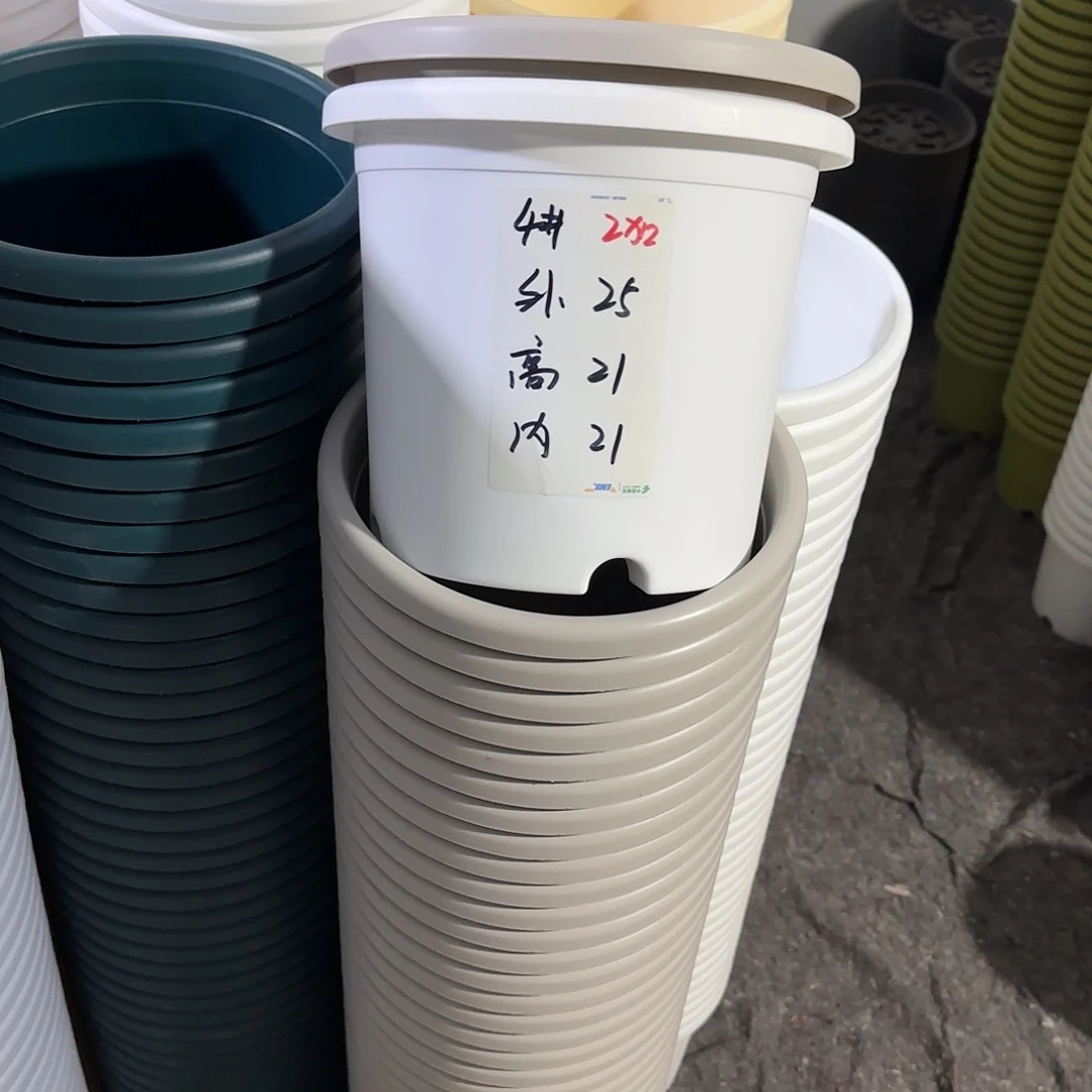 微瑕4号3个带托，白色