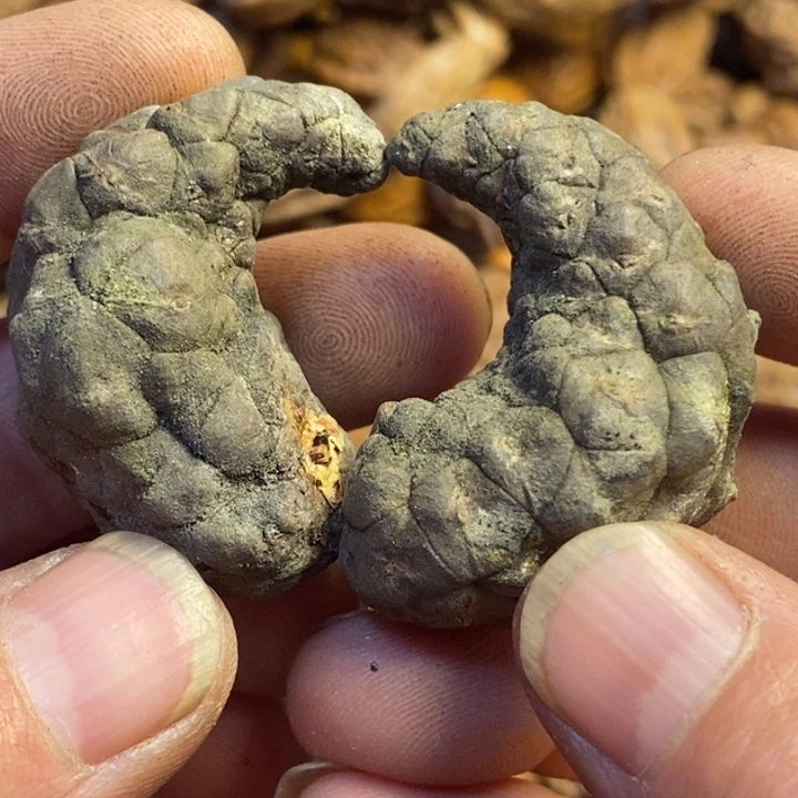 文玩核桃吊坠东北109