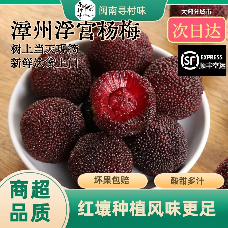 顺丰包邮福建东魁杨梅鲜果酸甜多汁浮宫杨梅当季孕妇新鲜水果现摘