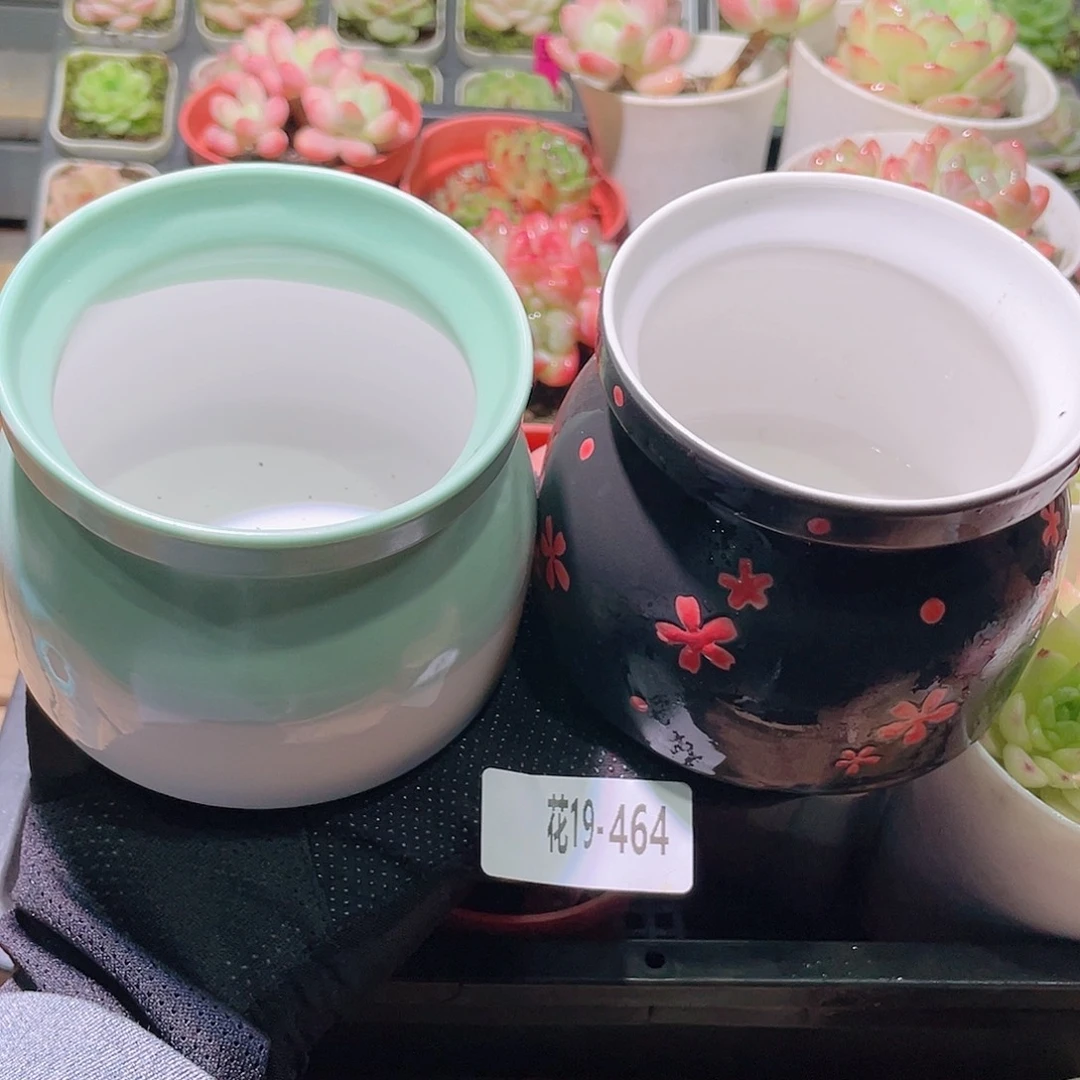 花利美19-464花盆2个