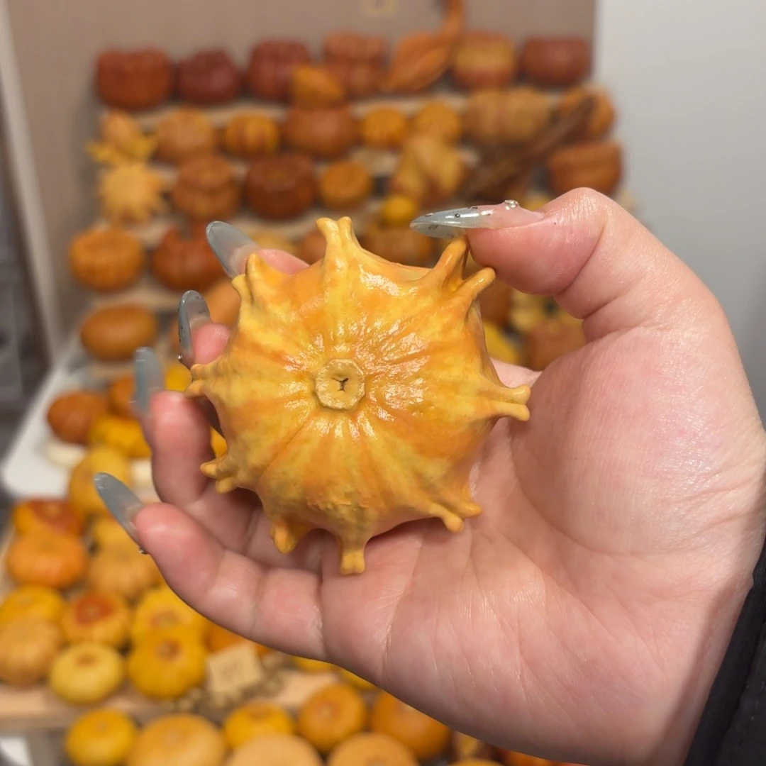 双色八角小海星款