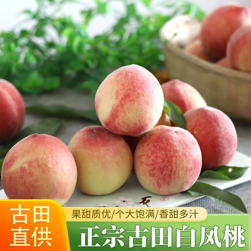 【阿妹推荐】正宗福建古田白凤桃水蜜桃脆甜桃桃新鲜现摘现发5斤装