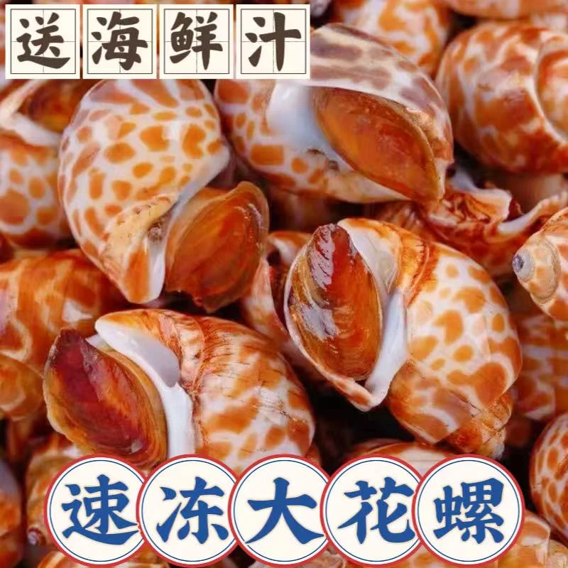 【速冻花螺】 速冻大号花螺 钉螺 蟹钳 送麻辣海鲜汁