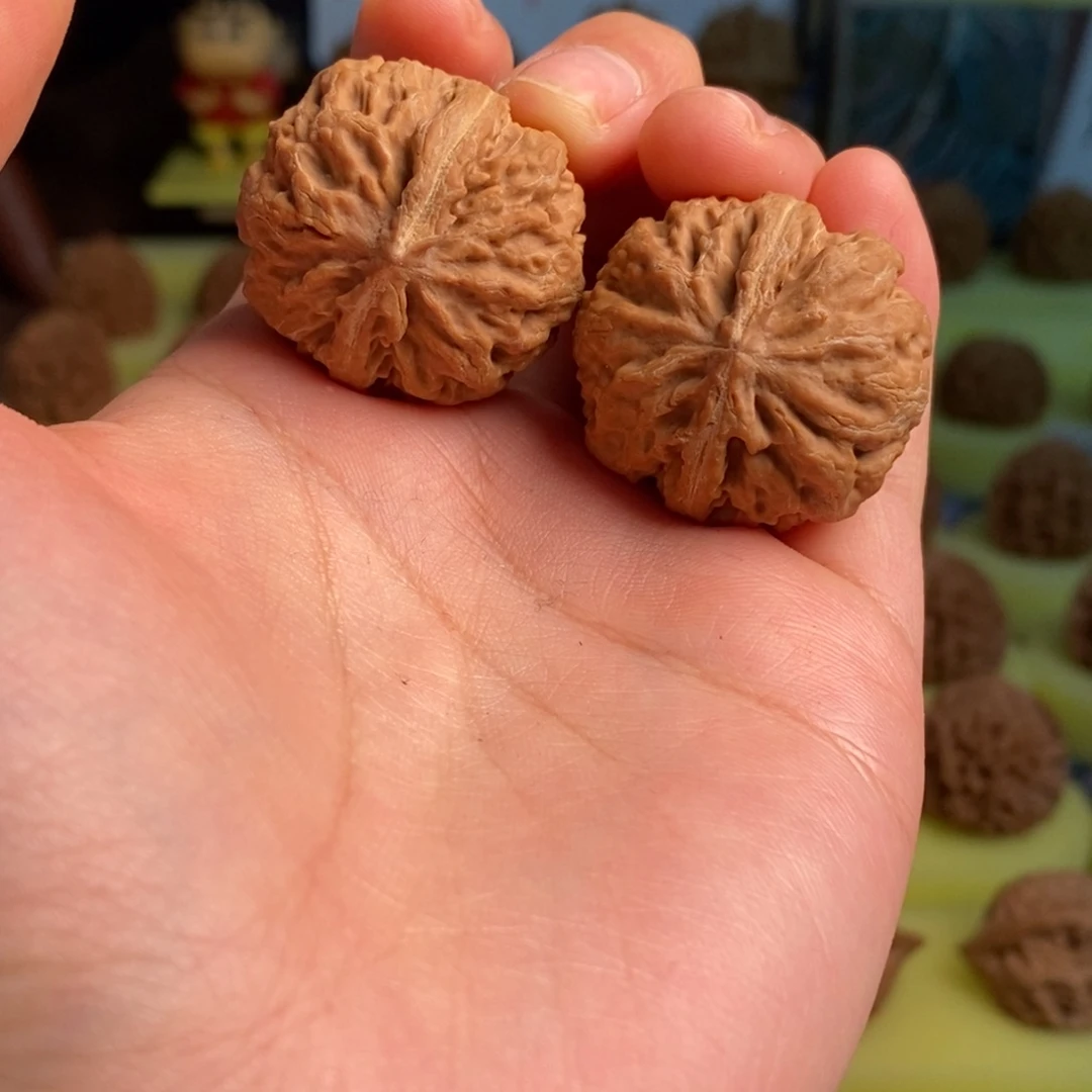 核桃秦岭灯笼30尺寸