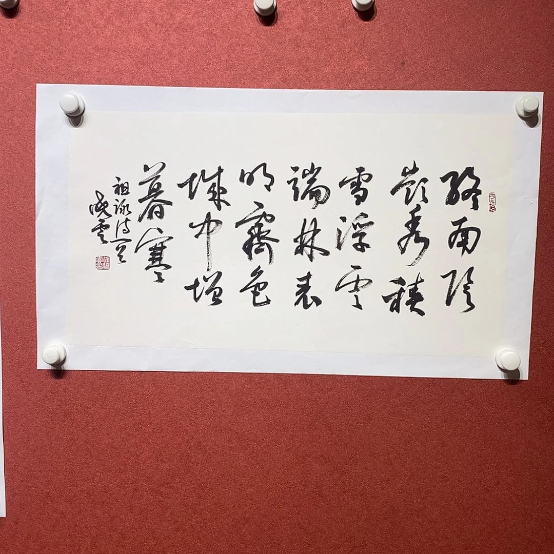 书法终南直播大漏
