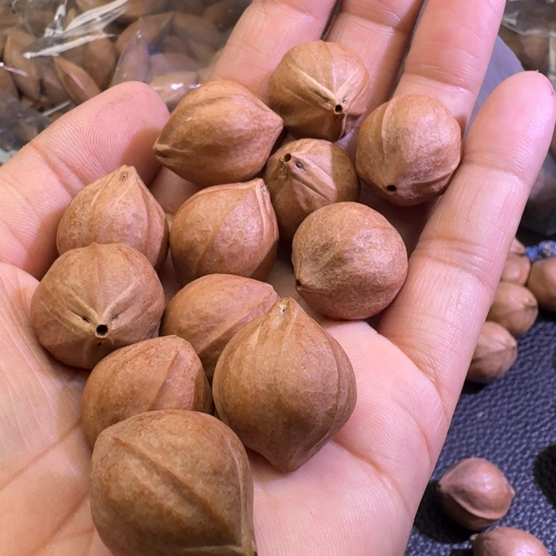 差***得手串/手链橄榄核1