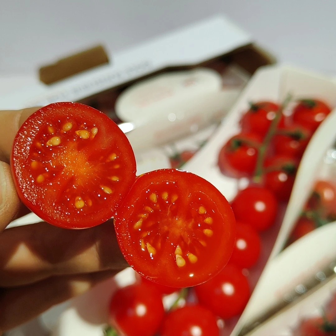 仓仓果鲜达(都乐串番茄)甜脆多汁，串柿新鲜，1盒大概200克到225克，5盒和10盒新鲜水果