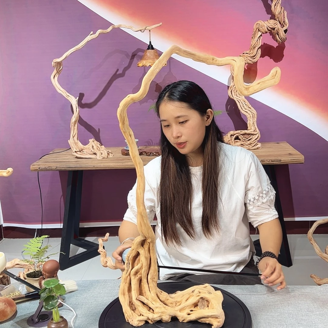 独***龙木天然杜鹃根根艺摆件