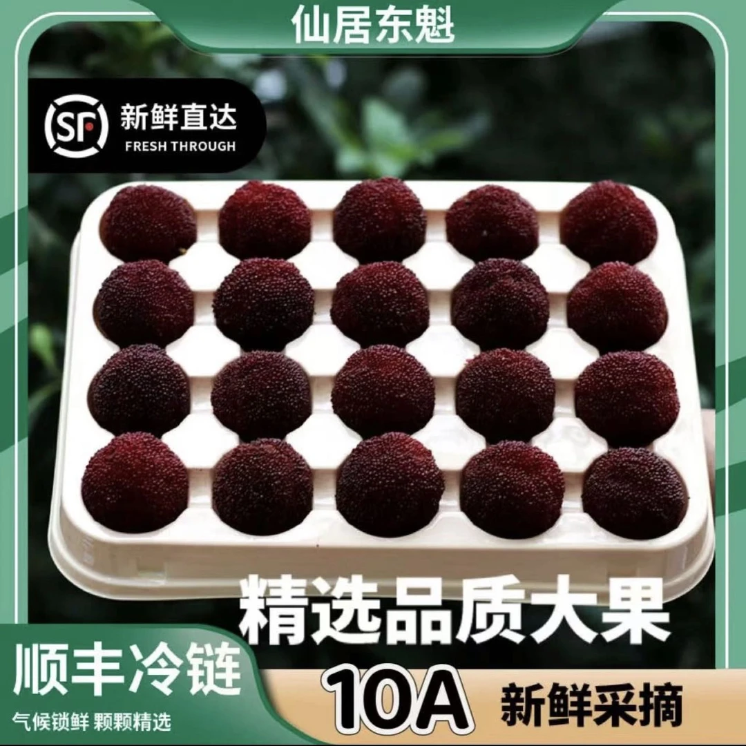 【果王25-30仙居杨梅】顺丰冷链东魁精选果颗粒包装礼盒现摘现发