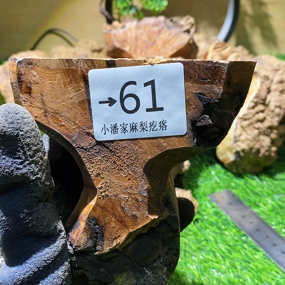 木满*麻梨……麻梨
