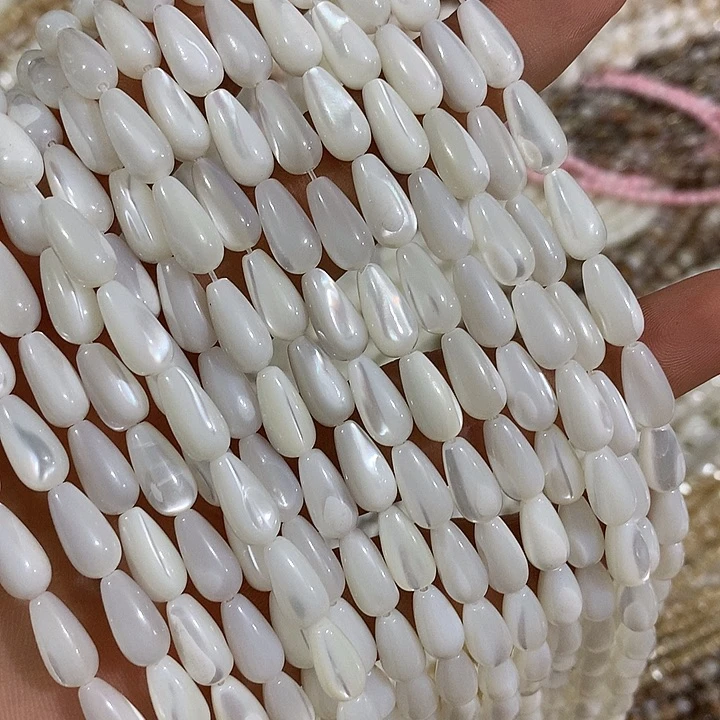 6mn马蹄螺水滴一条