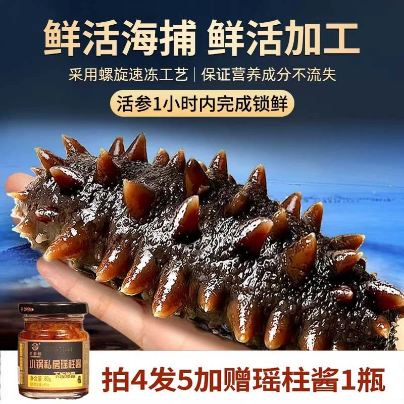 【即食辽刺参】【5斤家庭装 】8-10头  +赠瑶柱酱 大连源头工厂