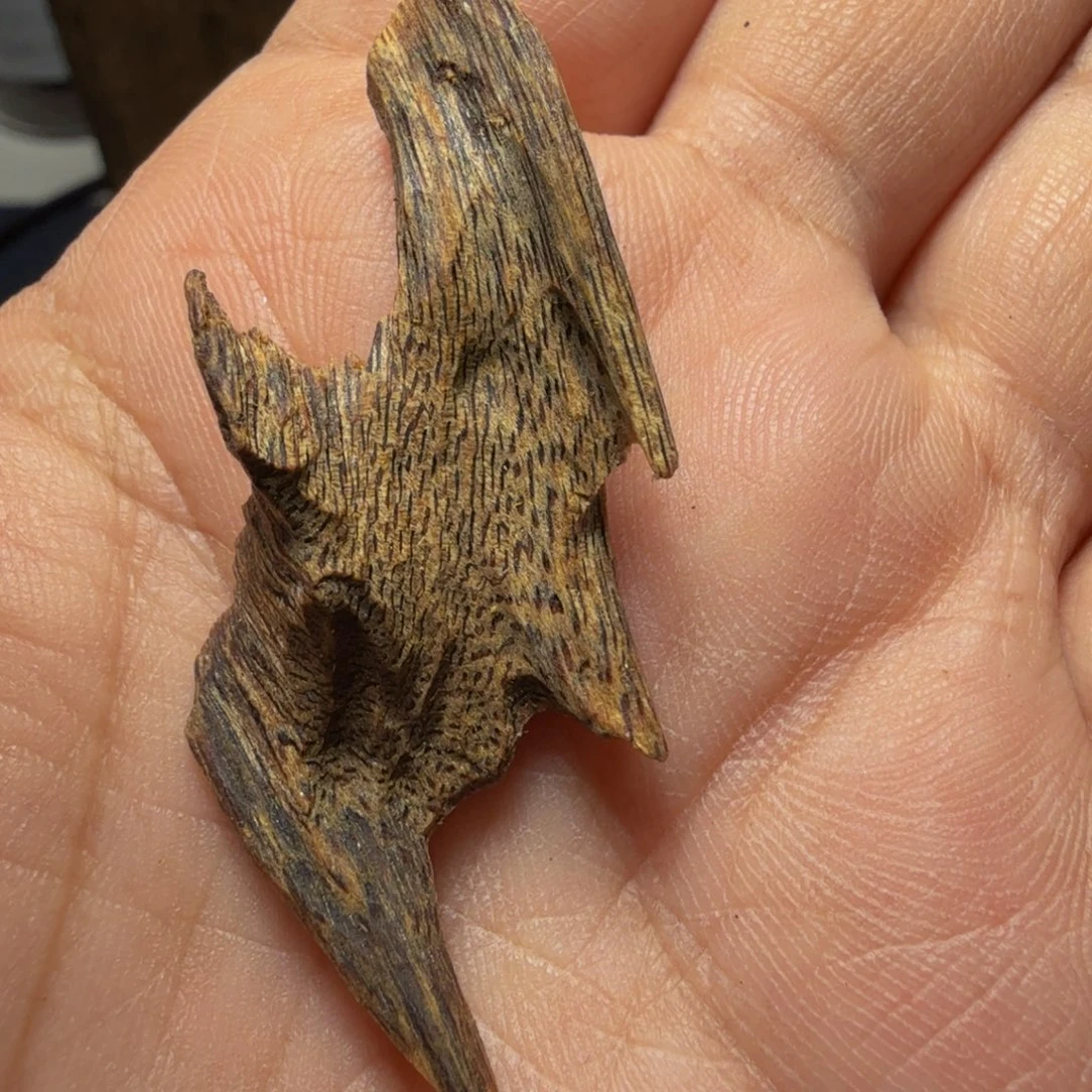 兆***澄香榧木陆河原母树1.64克