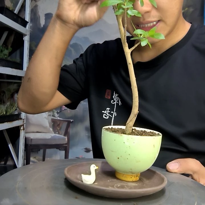 萌*七中青园艺一物一拍107