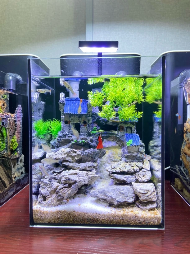 斗鱼鱼缸造景过滤适用于餐厅书房办公室前台