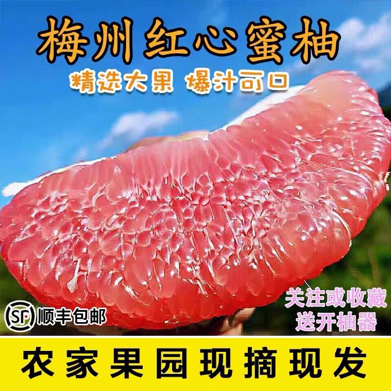 现货包邮梅州正宗红心柚子红肉蜜柚大果中秋礼品孕妇可食新鲜水果