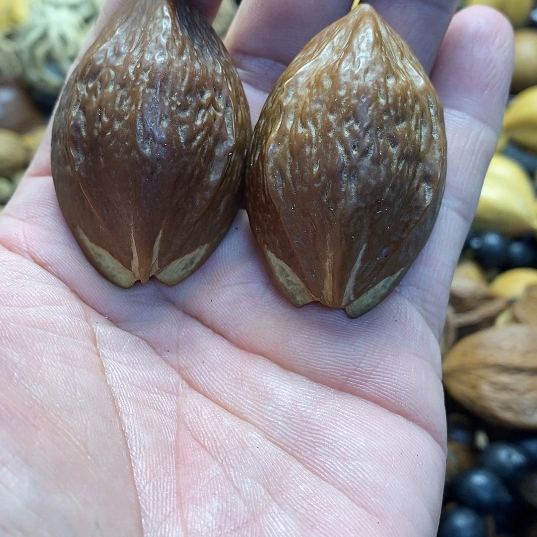 吊坠橄榄核金蟾异形橄榄核