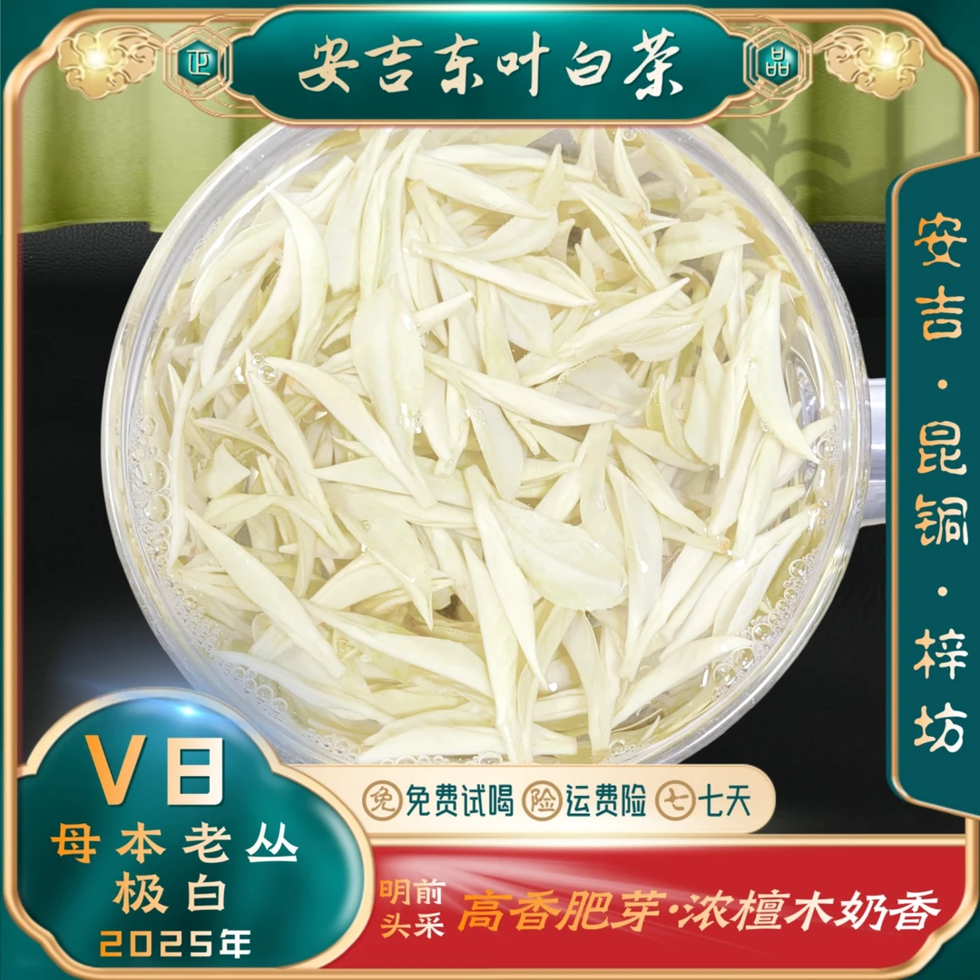 【老丛极白V8】2025新茶特级正宗安吉白茶昆铜新安四号浓郁檀木奶香