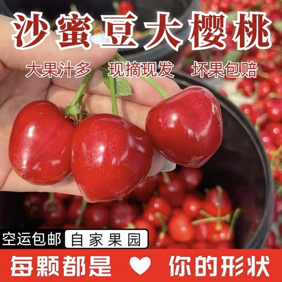【幸运福袋】现摘樱桃尝尝鲜