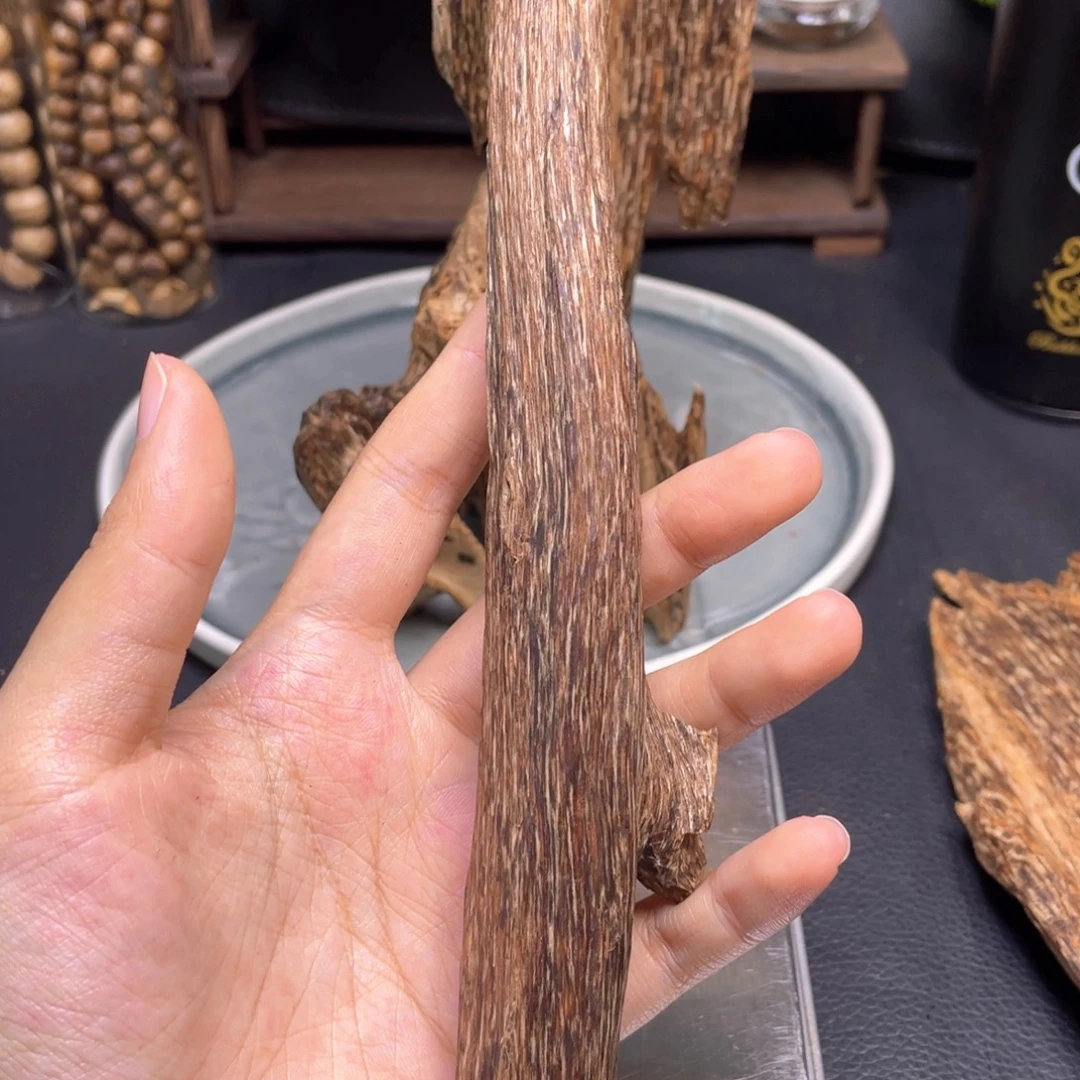 香榧木43克海南尖峰虫漏