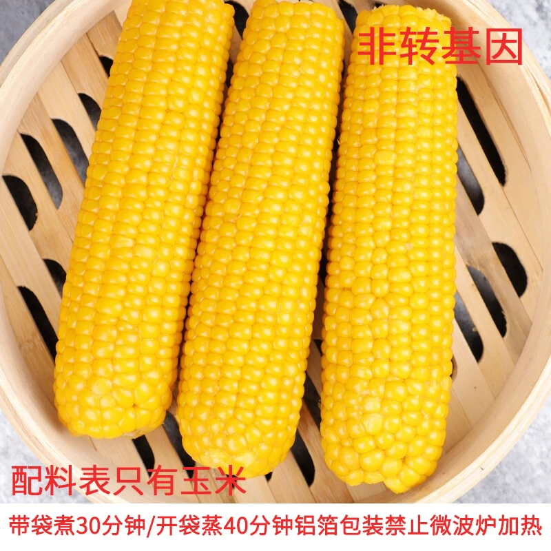 【大乐鲜果】24年新-东北黄/黑糯玉米（糯9）8到10根装(非转基因)
