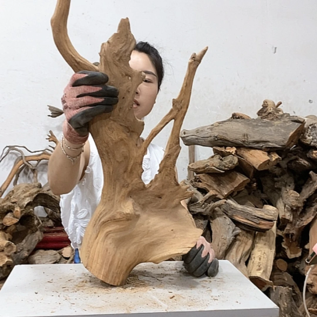 【闪购商品】柏木陳*兆我们都是好孩子啊