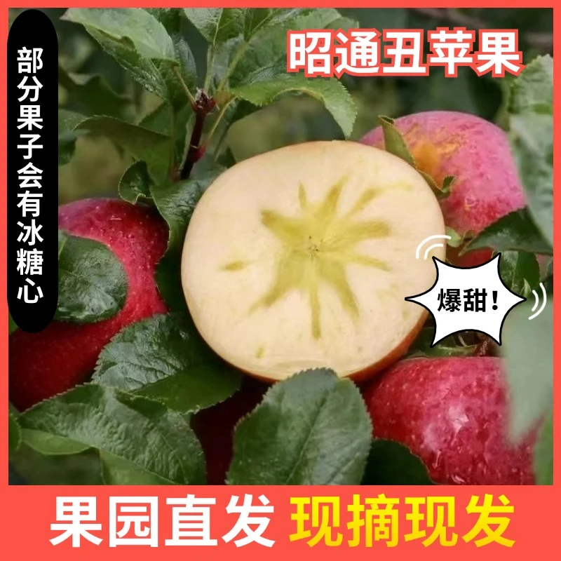 （董董助农专属）正宗冰糖心丑苹果新鲜现摘脆甜多汁当季水果