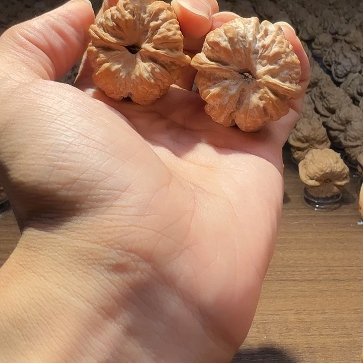 袜***.核桃蛤蟆的眼睛是真的好看