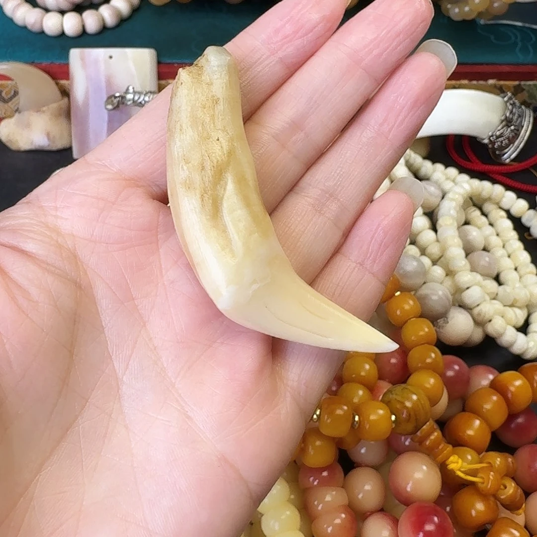 手串/手链驼骨真****8骆驼牙单颗