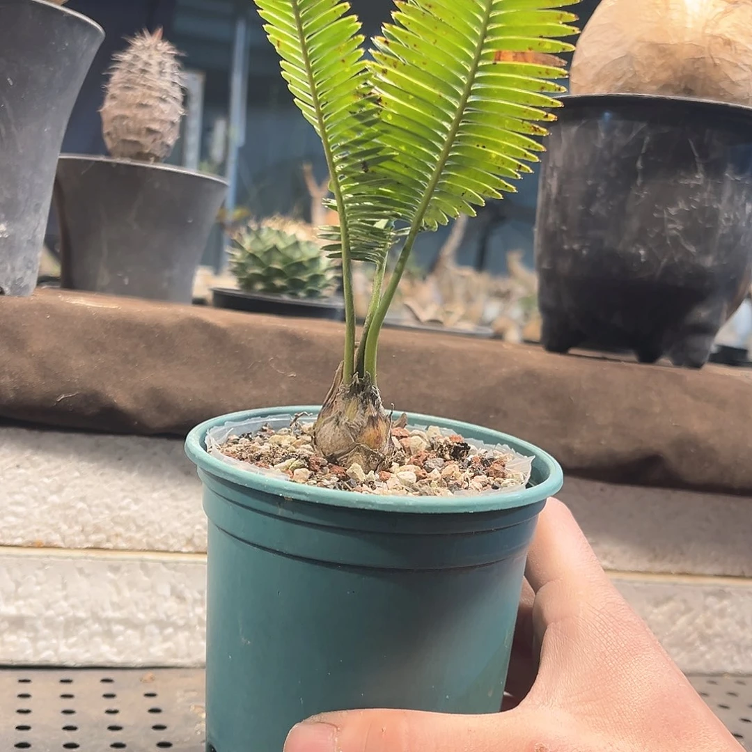 浮*11111111111111111111