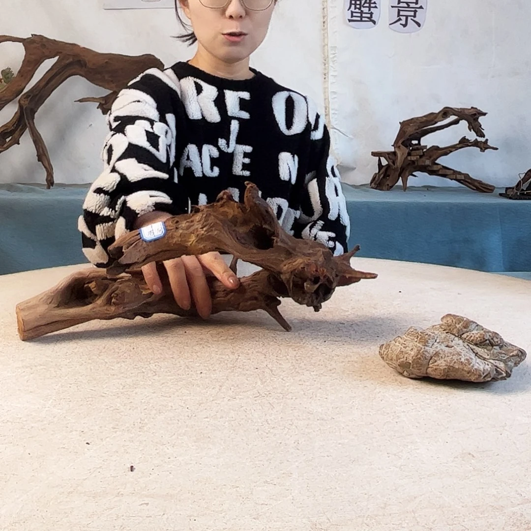 沉木造景爬宠造景