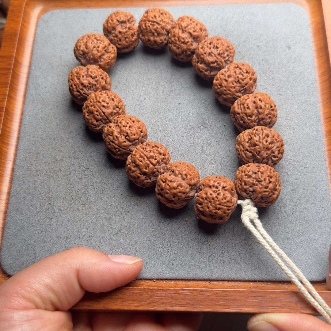 菩提菩提16号尼泊尔大金刚22满肉蜂窝梅花