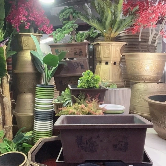 复合梅花照眼 依然旧风味