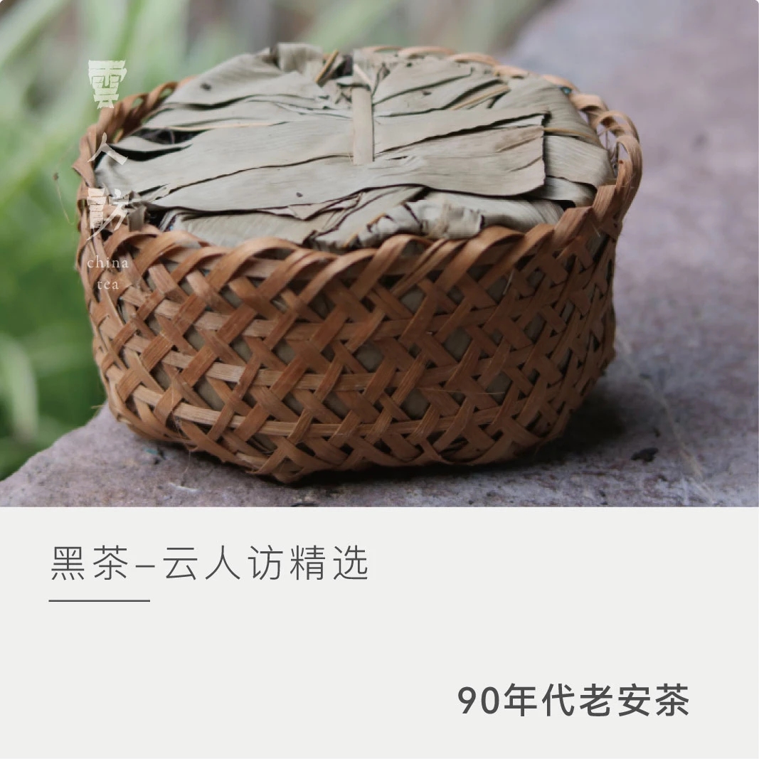 【云人访】90年代老安茶 茶叶黑茶