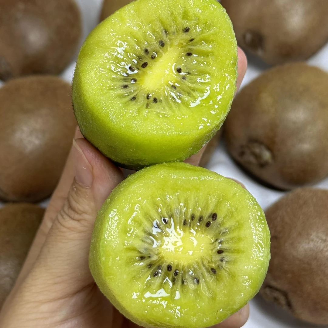 绿果猕猴桃一盆陕西省