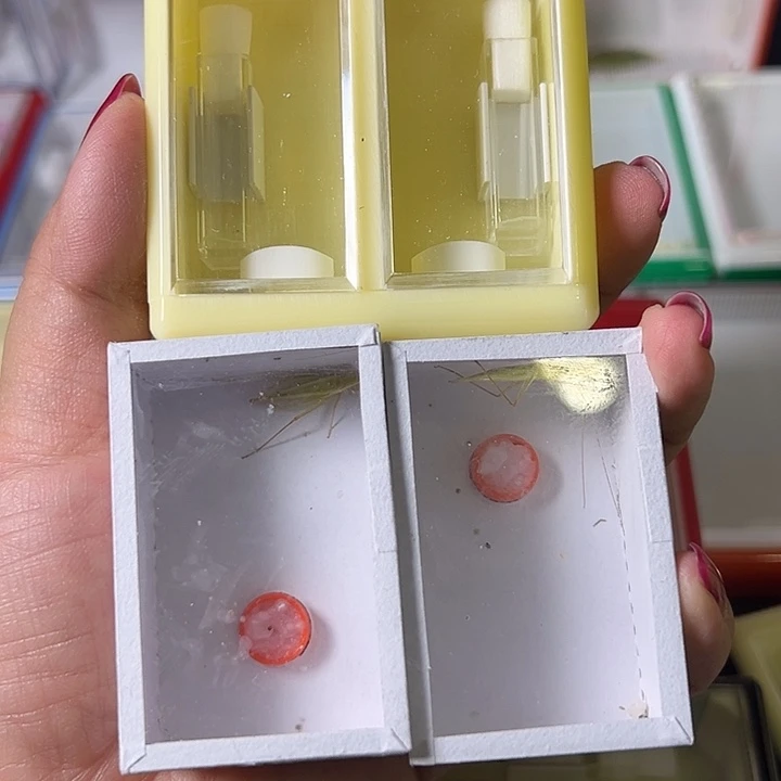 李***华蟋蟀哈哈哈哈哈哈哈哈哈哈哈