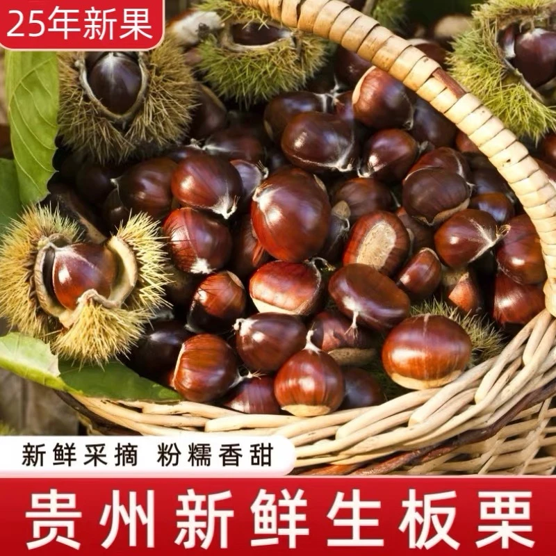 贵州高山农家新鲜野生板栗