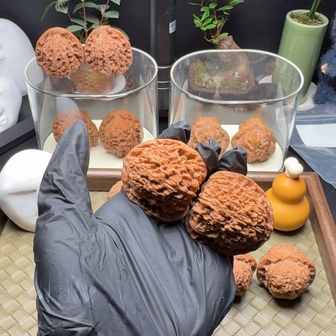 养****吊坠龙脊菩提全品南疆