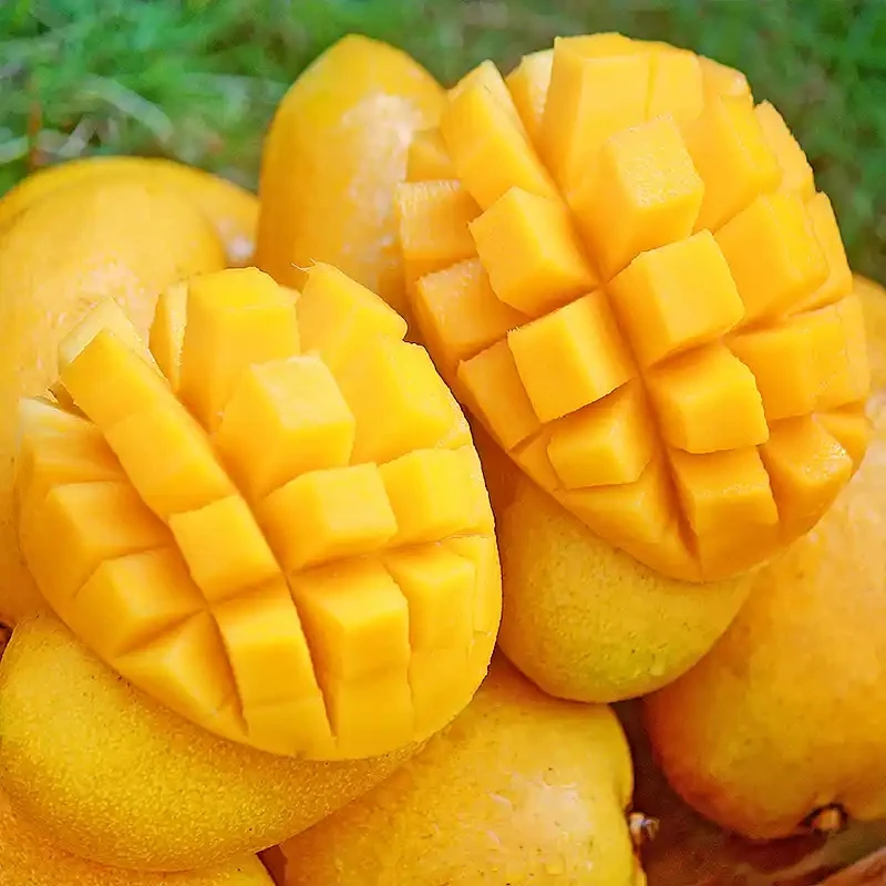 小台芒（500g）
