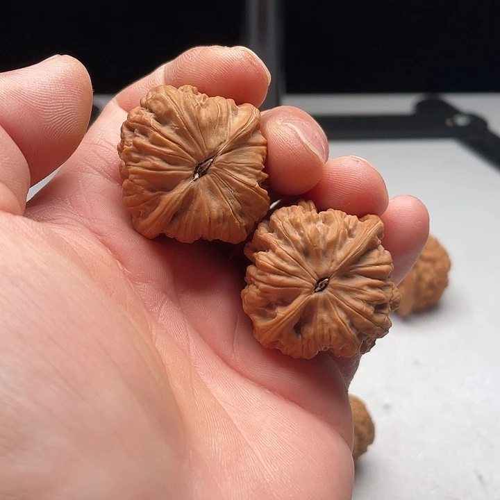 吊坠文玩核桃黑马