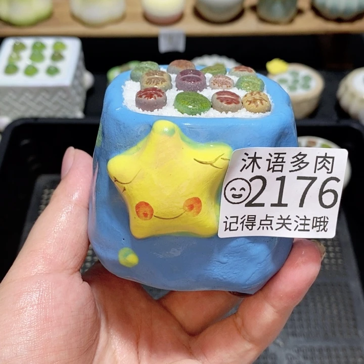 精美盆栽 一物一拍 2176