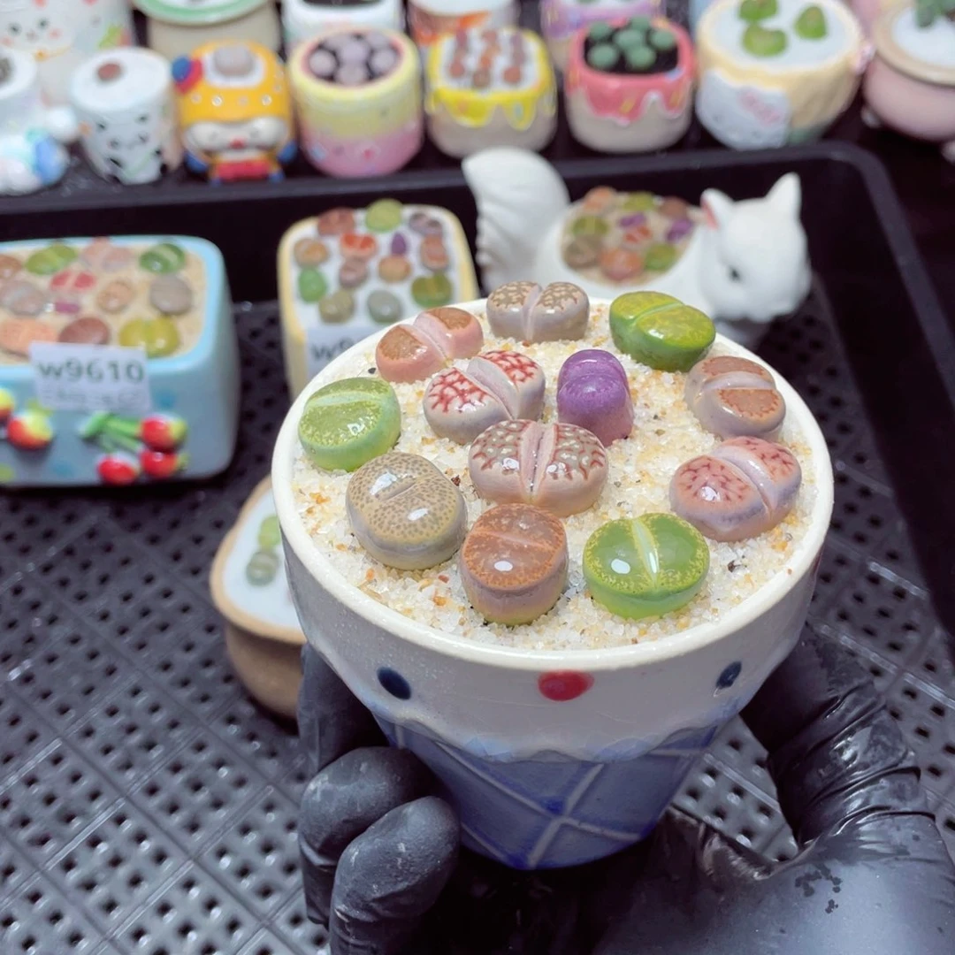 w9614--零下地区拍保温箱，-15度支持寄养