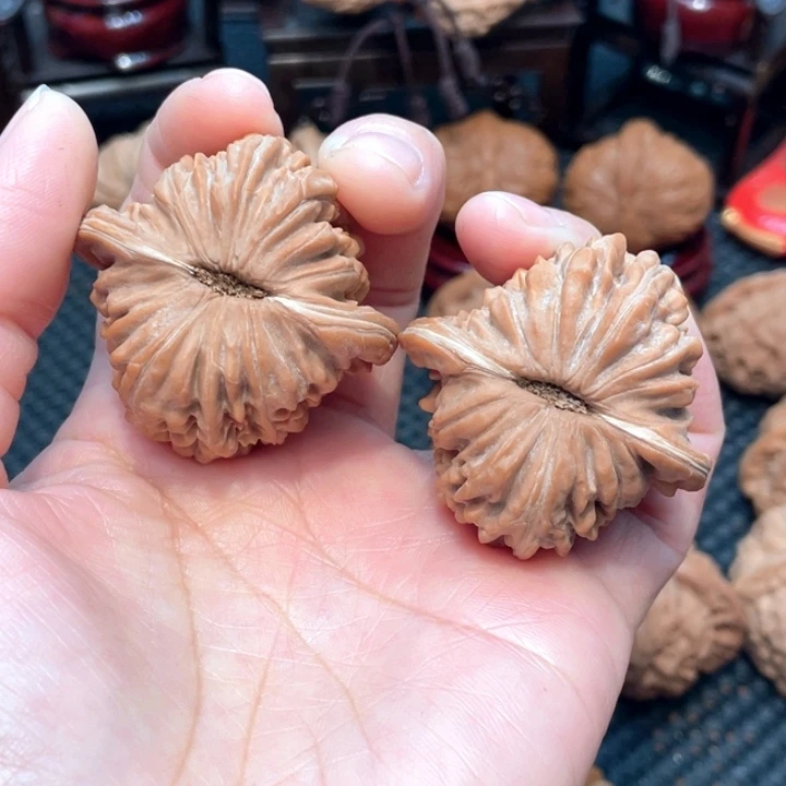 梁****?山地四座楼4.3全品无修。