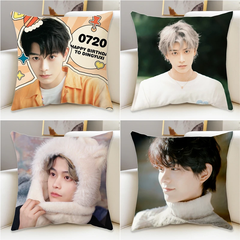 丁禹兮周边抱枕套送朋友生日礼物护腰垫学生宿舍午睡床头靠背垫