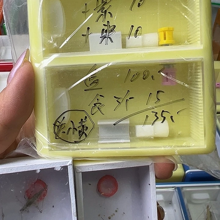 A***x蟋蟀哈哈哈哈哈哈哈哈哈哈