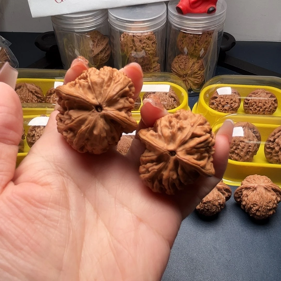 核桃38尺寸凤凰台